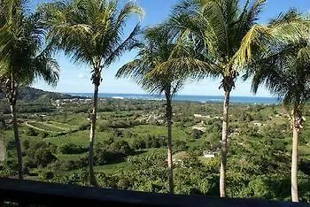 Rainforest & Ocean View Inn At Carabali Luquillo 3*,  Porto Rico